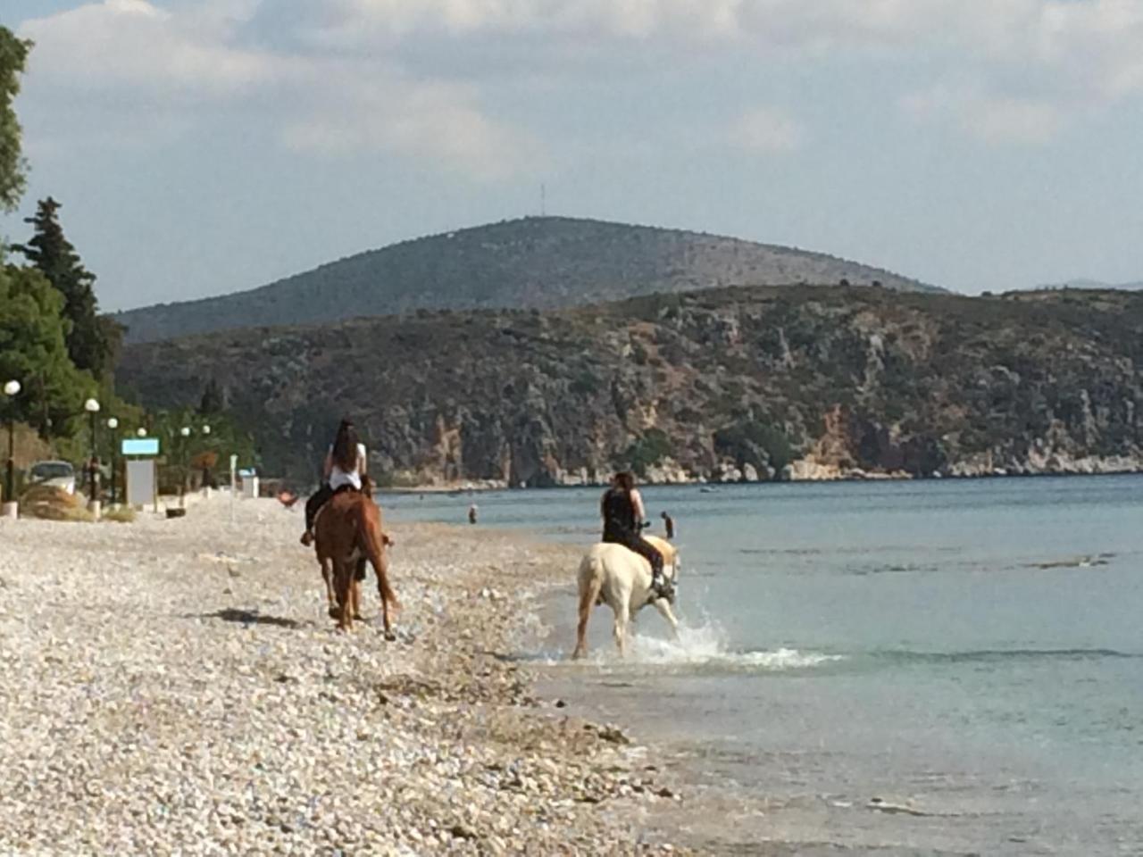 Perivoli Country Hotel & Retreat نافبليو المظهر الخارجي الصورة